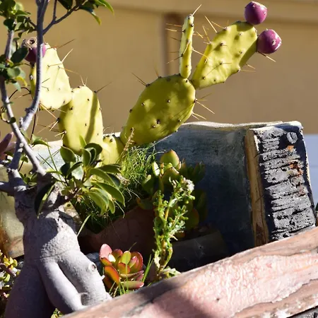 B&B Il Trespolo Degli Angeli